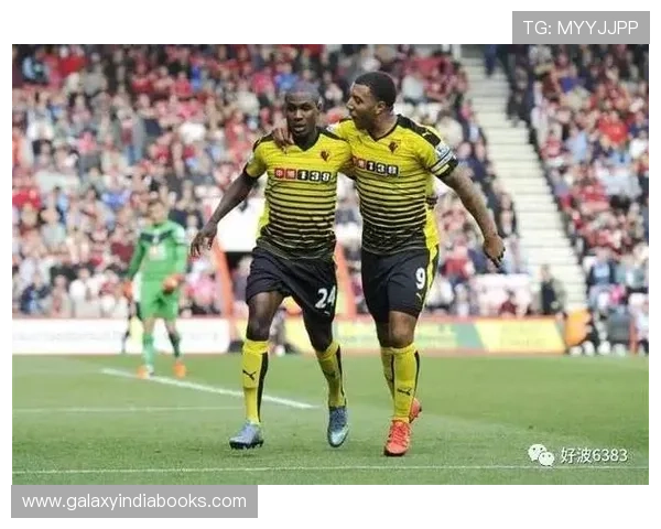 满冠体育引领体育产业创新发展，打造高品质体育赛事和专业培训服务