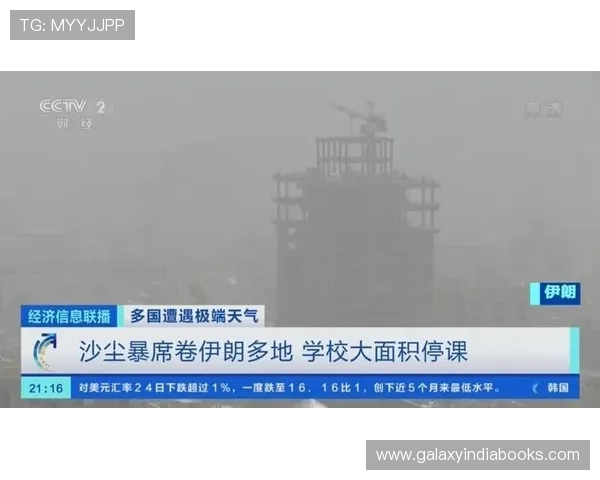 世界杯期间埃及对伊朗比赛现场天气状况及对比赛策略的影响解读